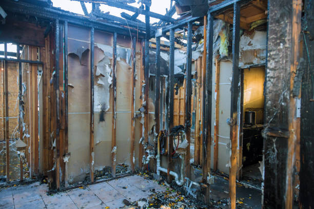 Professional Fire Damage Assessment technician working in Donna, TX